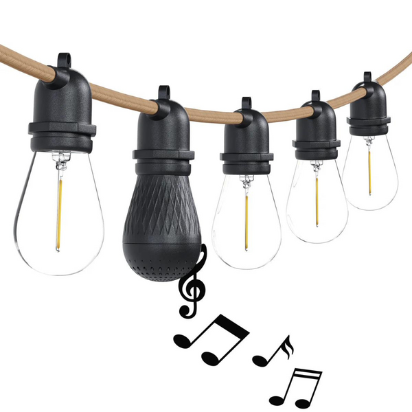 FSR LED Speaker String Lights